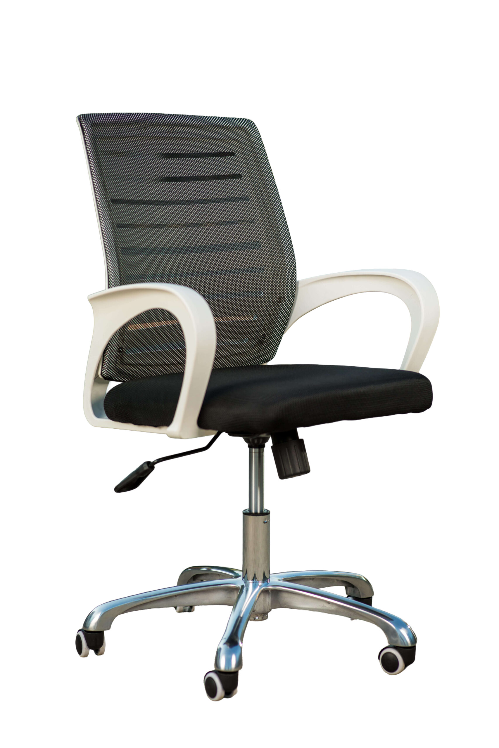 PGC_1459 Classic white - Slika 1