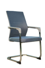 Orbis Pro Gray